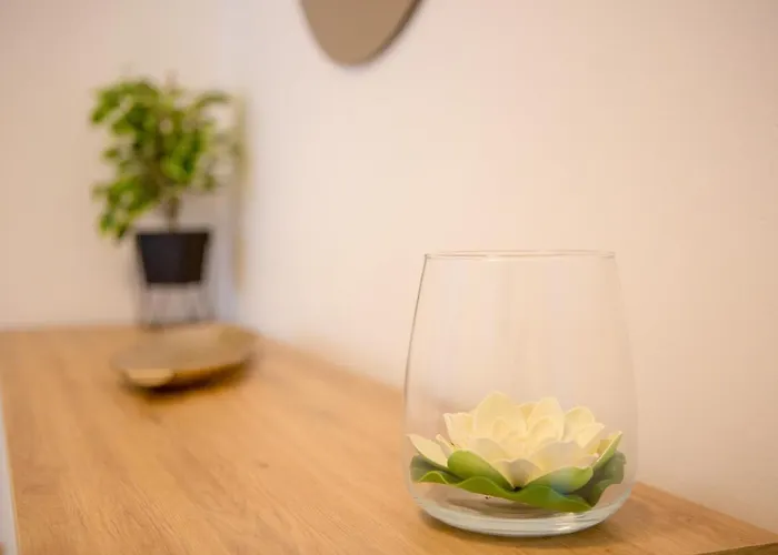 招待所 Luxury Vibrass 3*