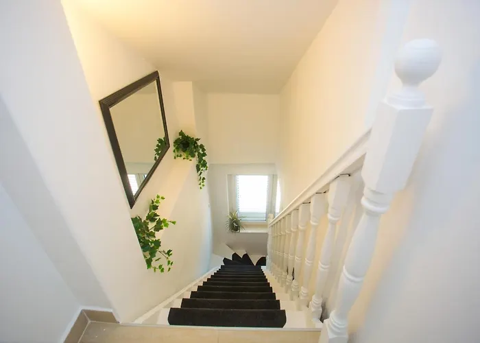 Luxury Vibrass 斯普利特