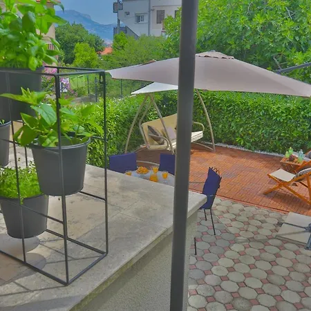 Luxury Vibrass سبليت